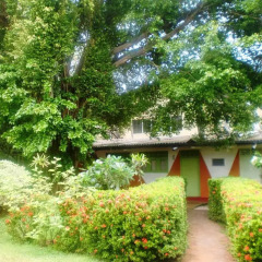 Отель Green Garden Guest House Шри-Ланка, Берувела - 1 отзыв об отеле, цены и фото номеров - забронировать отель Green Garden Guest House онлайн фото 5