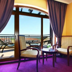 Vineyards Hotel Ахелой комната для гостей фото 2