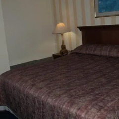 Отель Island Travel Inn Канада, Виктория - отзывы, цены и фото номеров - забронировать отель Island Travel Inn онлайн комната для гостей фото 8