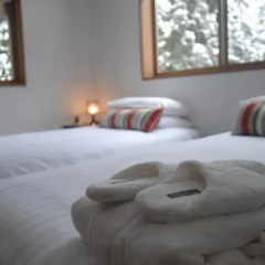 Отель Bears Den Mountain Lodge Хакуба комната для гостей фото 3