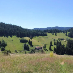 Отель Kutsinska House Болгария, Чепеларе - отзывы, цены и фото номеров - забронировать отель Kutsinska House онлайн фото 8