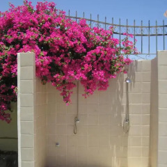 Отель Villa Shahrazad Hurghada фото 3