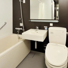 Отель Hakata Green Annex 4* Стандартный номер фото 4