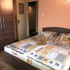 Отель Guesthouse Nikolovi Болгария, Генерал-Кантраджиево - отзывы, цены и фото номеров - забронировать отель Guesthouse Nikolovi онлайн интерьер отеля