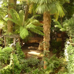Отель Garden Suite Centre фото 23