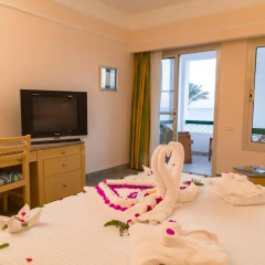Отель Coral Beach Resort Tiran 4* Стандартный номер с различными типами кроватей фото 2
