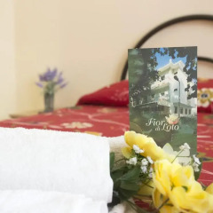 Hotel Fior di Loto 2* Стандартный номер с различными типами кроватей