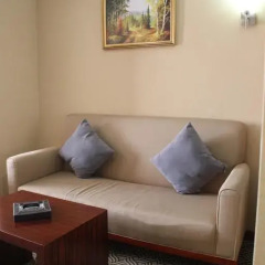 Гостиница Grand Aiser 4* Стандартный номер с 2 отдельными кроватями фото 6