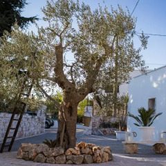 Отель Residenze nei Trulli Стандартный номер фото 19