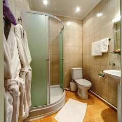 Гостиница Соната На Гороховой Санкт-Петербург 3* Номер Комфорт фото 41