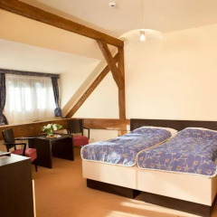 Chateau Hotel Liblice 4* Номер Бизнес