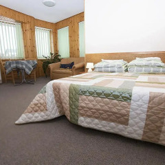 Отель Guest House Drusva Литва, Друскининкай - 1 отзыв об отеле, цены и фото номеров - забронировать отель Guest House Drusva онлайн комната для гостей
