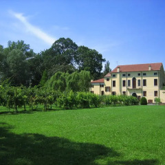 Отель Agriturismo Villa Selvatico Италия, Вигонца - отзывы, цены и фото номеров - забронировать отель Agriturismo Villa Selvatico онлайн фото 8