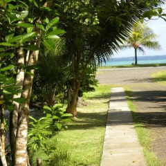 Отель Pacific Treelodge Resort Федеративные Штаты Микронезии, Косраэ - отзывы, цены и фото номеров - забронировать отель Pacific Treelodge Resort онлайн