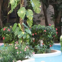 La Tortuga Hotel & Spa - Adults Only фото 4