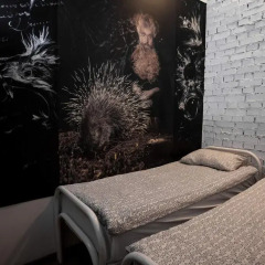 Hostel Peter and the Wolf Стандартный номер с 2 отдельными кроватями