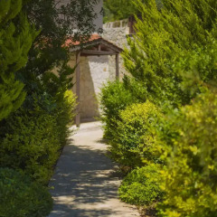 Villa Badem Турция, Патара - отзывы, цены и фото номеров - забронировать отель Villa Badem онлайн фото 3