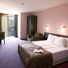 Hotel Budapest 3* Стандартный номер фото 3