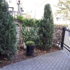 Отель Apartamenty Sopocki Klimat Сопот фото 4