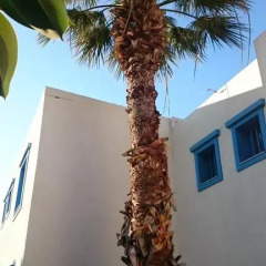 Отель Amazones Villas Sun пляж
