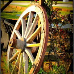 Отель Agriturismo Hornos Нумана фото 4