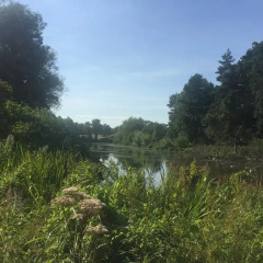 Отель Wolds Glamping