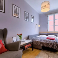 Отель Chopin Apartment Warsaw - Old Town Польша, Варшава - отзывы, цены и фото номеров - забронировать отель Chopin Apartment Warsaw - Old Town онлайн комната для гостей фото 2