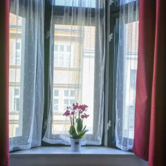 Отель Penzion U Salzmannu 3* Апартаменты фото 5