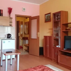 Апартаменты TES Flora Apartments Стандартный номер фото 18