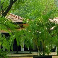 Отель Jayasinghe Holiday Resort фото 3