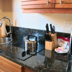 Отель Alsol Del Mar - Luxury Condo Вилла с различными типами кроватей фото 4
