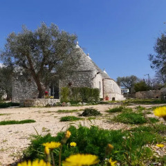 Отель Trulli Barsento Альберобелло фото 4