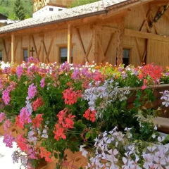 Отель Virtus Et Otium - Feldererhof Випитено фото 4