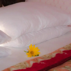 Отель Nikini Homestay детские мероприятия