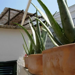 Отель Secret garden in the old town Лечче балкон