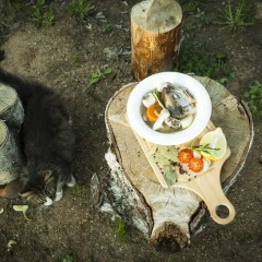 Гостиница Rostovsky в Ростове Великом отзывы, цены и фото номеров - забронировать гостиницу Rostovsky онлайн Ростов Великий фото 2