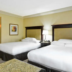 Отель Hilton Checkers 4* Стандартный номер