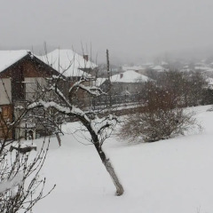 Отель Venikula Guest House 2* Стандартный номер фото 6