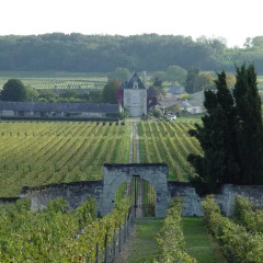 Отель Gite Chateau De Chaintres Сомюр фото 2