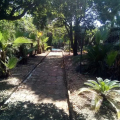 Отель L'Oasi di San Giovanni Сан-Джованни-ла-Пунта фото 6