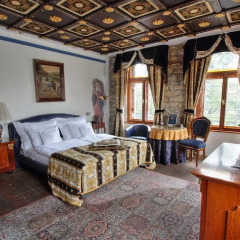 Hotel U Páva 4* Номер Делюкс с различными типами кроватей
