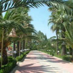 Отель Tropikal Resort Дуррес фото 7
