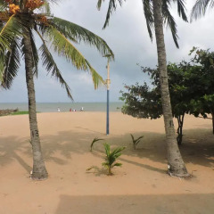 Catamaran Beach Hotel пляж