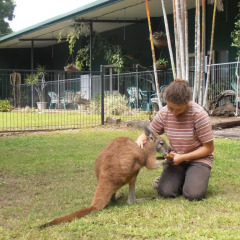 Отель Daintree Wild Zoo & Bed and Breakfast детские мероприятия