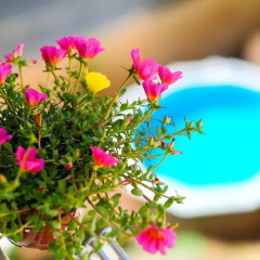 Отель Flores 105 Лиссабон фото 4