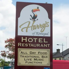 Отель Harry's of Kinnegad спортивное сооружение