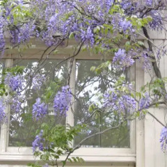 Отель Casa Luna Нидерланды, Амстердам - отзывы, цены и фото номеров - забронировать отель Casa Luna онлайн фото 3