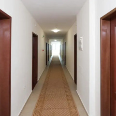Paloma Hotel Солнечный берег интерьер отеля фото 2