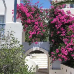 Отель Atlantis Beach Villa Греция, Остров Санторини - отзывы, цены и фото номеров - забронировать отель Atlantis Beach Villa онлайн фото 8