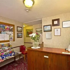Отель Ashurst Lodge интерьер отеля фото 2